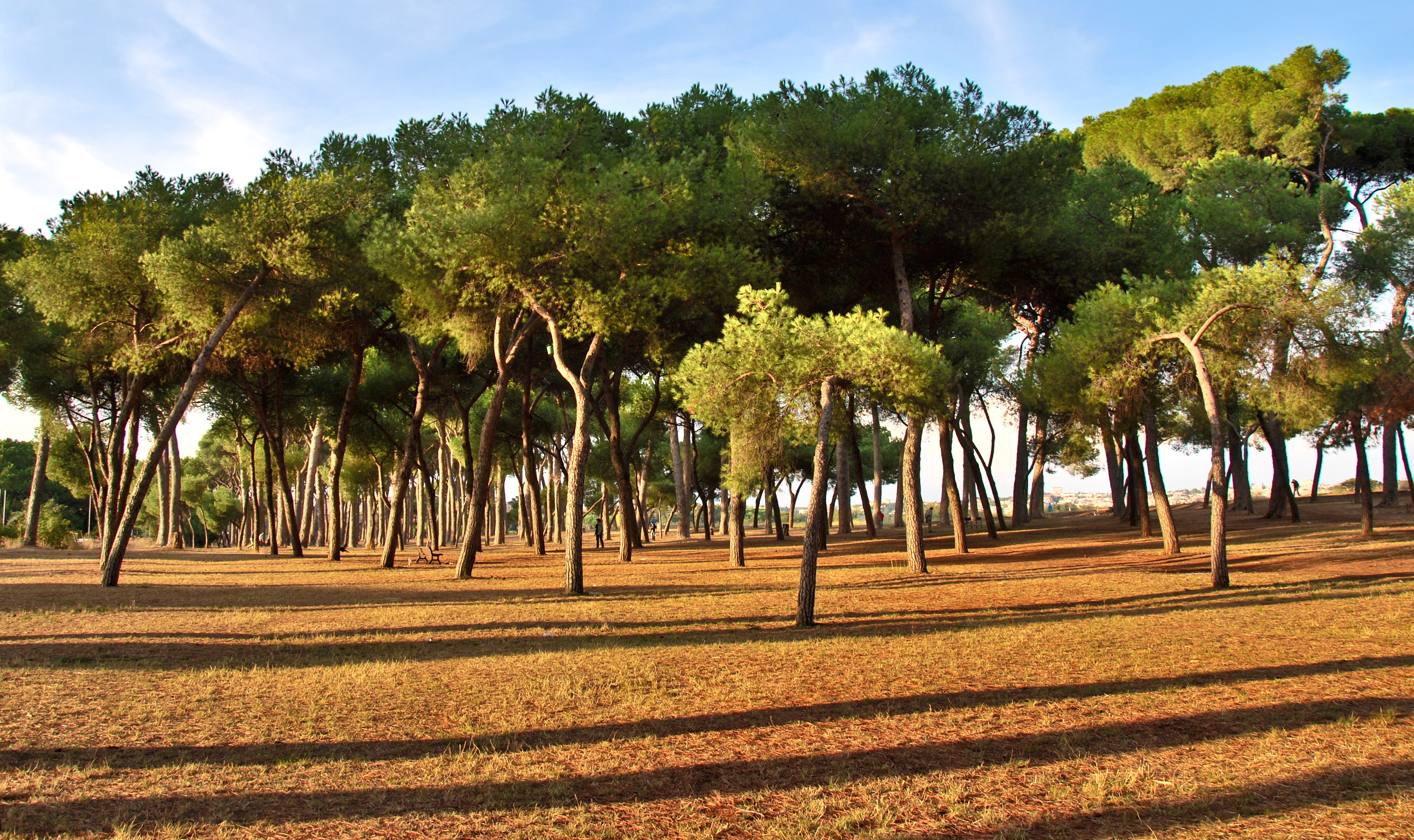 Imparare la biodiversità e la tutela delle aree protette con Roma Natura